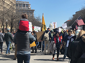 Picture of 2018 March to Save Our Lives Rally, Washington DC